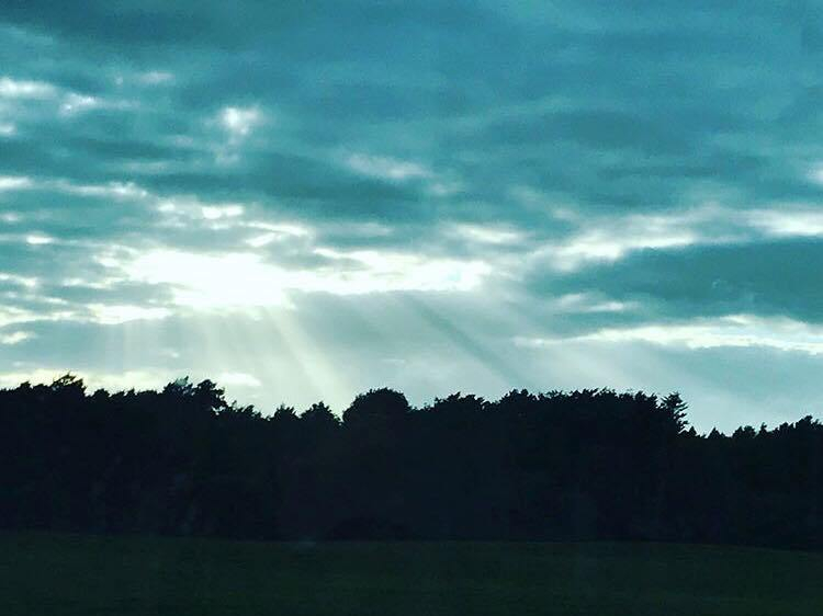 32164438_1764097836979603_8270540470019424256_n